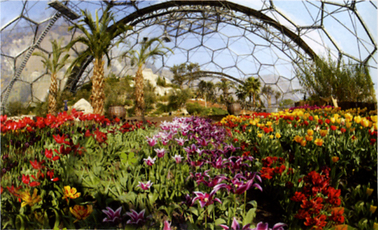 eden project pictures				